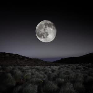 Susurros De La Noche: Sonidos Reconfortantes Para Dormir - Dhyana Uno