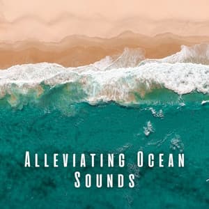 Alleviating Ocean Sounds - Sounds Of The Ocean