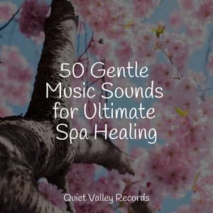 50 Gentle Music Sounds for Ultimate Spa Healing - Academia de Música para Massagem e Relaxamento