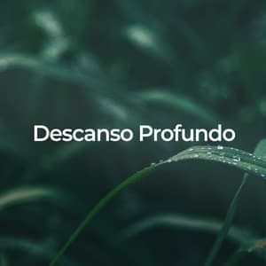 Descanso Profundo: Sonidos Calmantes de la Naturaleza - Lluvia PQ