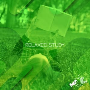 Relaxed Study - Green Noise Therapy