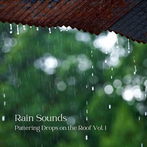 Rain Sounds: Pattering Drops on the Roof Vol. 1 - Rivers and Streams