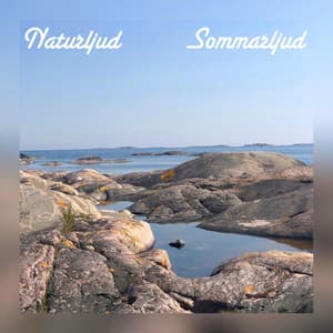 Sommarljud - Naturljud