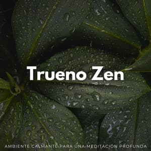 Trueno Zen: Ambiente Calmante Para Una Meditación Profunda - Relámpagos Truenos y Tormenta de Lluvia