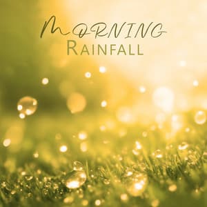 Morning Rainfall - John Plack