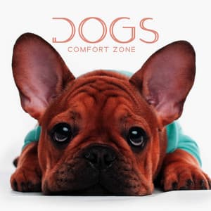 Dogs Comfort Zone: Relaxing Ambiet for Dogs, Dog Care Zone - Peaceful Mind Music Consort
