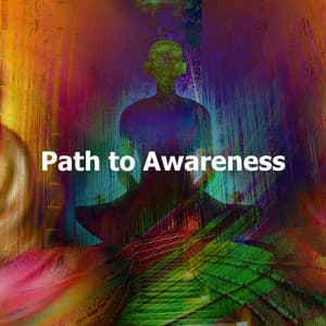 Path to Awareness - Yogi Zone