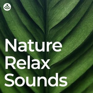 Nature Relax Sounds - Masala Roo