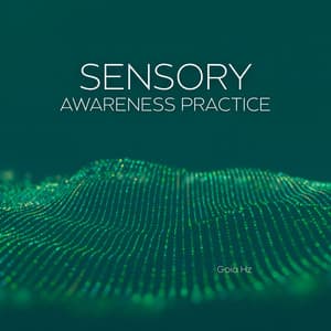 Sensory Awareness Practice - Goia Hz