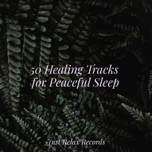 50 Healing Tracks for Peaceful Sleep - Shakuhachi Sakano