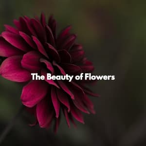 The Beauty of Flowers - Musica da Ristorante
