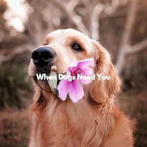 When Dogs Need You - Coffee House Instrumental Jazz Playlist