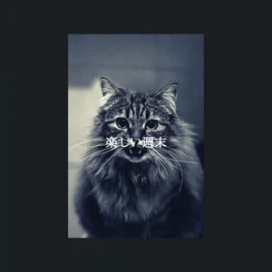 楽しい週末 - French Cafe Jazz Chill