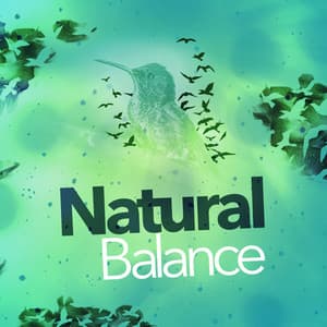 Natural Balance - Relaxing Nature Ambience