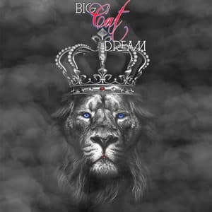 Big Cat Dream - Cat Music