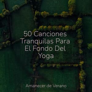 50 Canciones Tranquilas Para El Fondo Del Yoga - Nature Sounds Nature Music