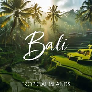 Bali Tropical Islands - Music to Relax in Free Time