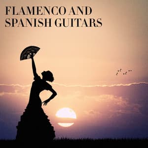 Flamenco and Spanish Guitars - Spanish Guitar