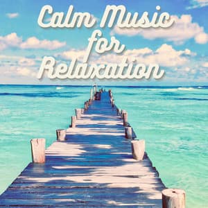 Calm Music for Relaxation - Zen Ken