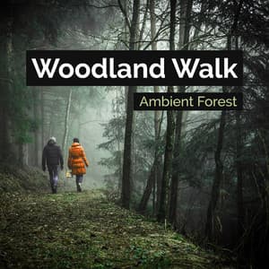 Woodland Walk - Ambient Forest