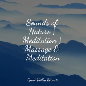 Sounds of Nature | Meditation | Massage & Meditation - Relaxing Nature Ambience
