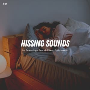#01 Hissing Sounds for Promoting a Peaceful Sleep Environment - White Noise