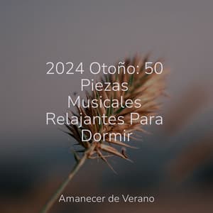 2024 Otoño: 50 Piezas Musicales Relajantes Para Dormir - Naturaleza Sonidos