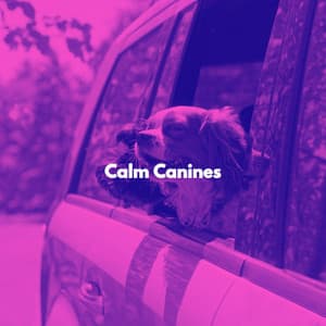 Calm Canines - Dog Calming Music