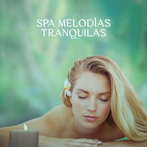Spa Melodías Tranquilas: Sonidos Suaves para la Relajación Profunda, Masaje para el Alivio del Dolor - Wellness Spa Oasis