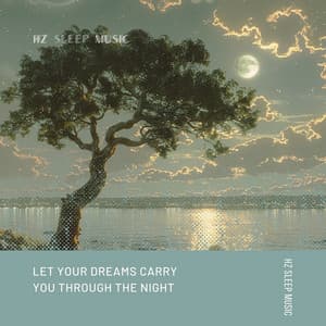 Let Your Dreams Carry You Through the Night - Hz Sleep Music
