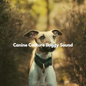 Canine Couture Doggy Sound - Jazz for Dogs