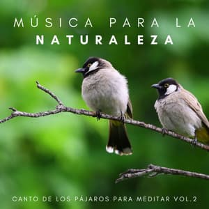 Música Para La Naturaleza: Canto De Los Pájaros Para Meditar Vol. 2 - Sonidos Naturales del Pajaro