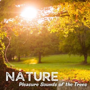 Nature: Pleasure Sounds of the Trees - Nature & Sounds Background