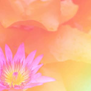 Swanky Backdrop for Autumns Spirits - Morning Chill Playlist