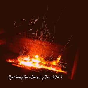 Sparkling Fire Sleeping Sound Vol. 1 - Sleepy Times