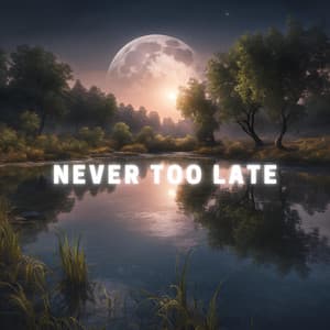 Never Too Late - sweet planet
