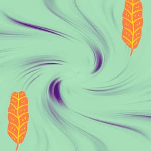 Echoes of Chillhop Sunsets - Lofi Tokyo