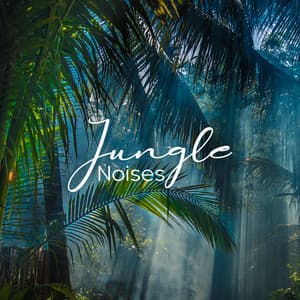 Jungle Noises: Tropical Ambience - Lovely Nature Music Zone