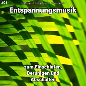 #01 Entspannungsmusik zum Einschlafen, Beruhigen und Abschalten - Entspannungsmusik Abteilung