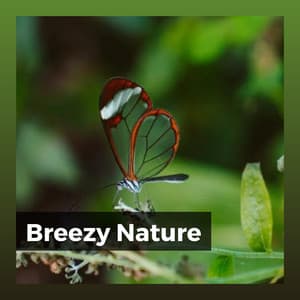 Breezy Nature - Nature Sleep