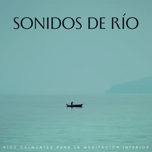 Sonidos De Río: Ríos Calmantes Para La Meditación Interior - Banco de sonidos de agua