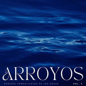 Arroyos: Sonidos Somnolientos De Las Aguas Vol. 2 - Corrientes de sueños