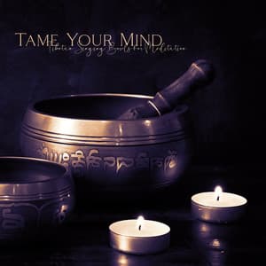 Tame Your Mind: Tibetan Singing Bowls for Meditation, Deep Trance, Awaken Your Inner Power - Ageless Tibetan Temple