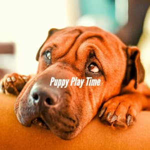 Puppy Play Time - Music for Dogs Moments