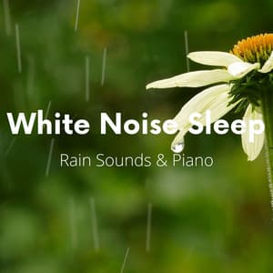 White Noise Sleep, Rain Sounds & Piano - White Noise Playlist