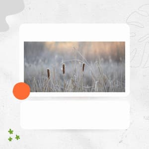 Joyful - Jazz Music for Sleeping