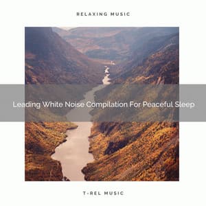 Leading White Noise Compilation For Peaceful Sleep - Sleep & Dream Music Academy