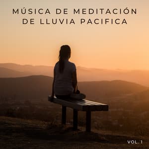 Música De Meditación De Lluvia Pacifica Vol. 1 - Meditación de lluvia