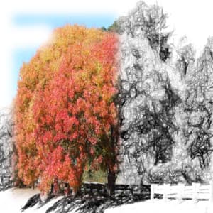 White Noise Collection - 50 Shades of Ambience - Best Relaxation Music