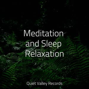 Meditation and Sleep Relaxation - Amazing Spa Music